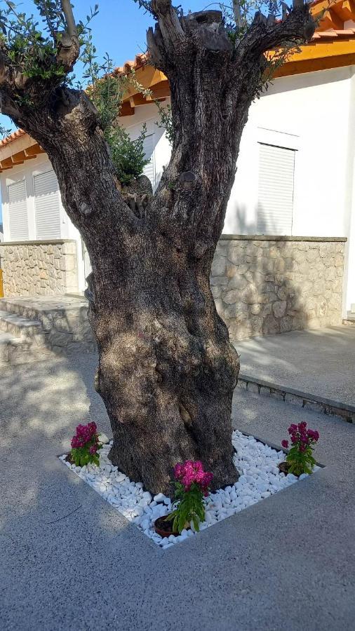 Casa Di'Elen Faliraki Exterior foto